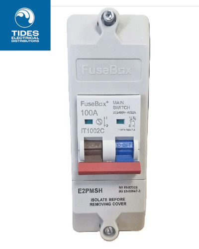 Fusebox main switch 100a - fusebox, 2p