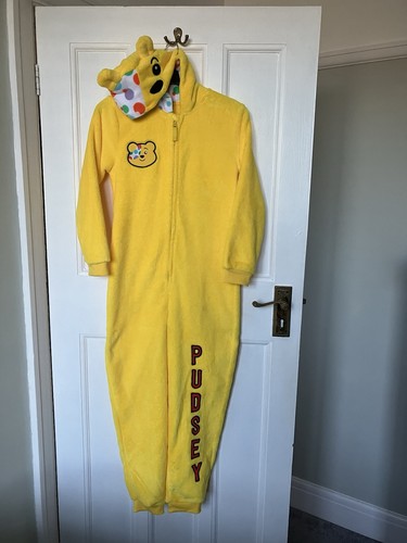 Pudsey bear kids - kids, hooded