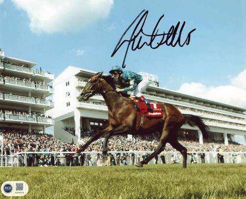 Frankie dettori signed - frankie,