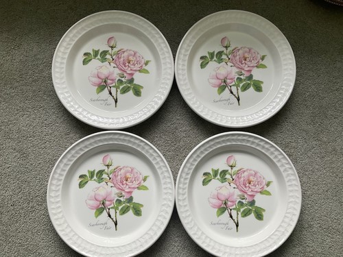 Portmeirion dinner plates 4 - portmeirion, x