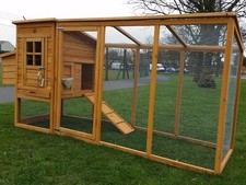 Large cocoon chicken hen - large,
