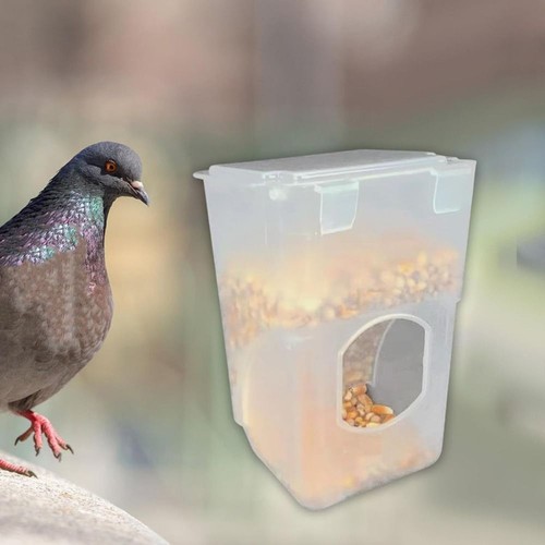 Automatic bird feeder - feeder, pigeon