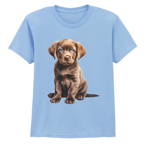 Brown labrador puppy - brown,