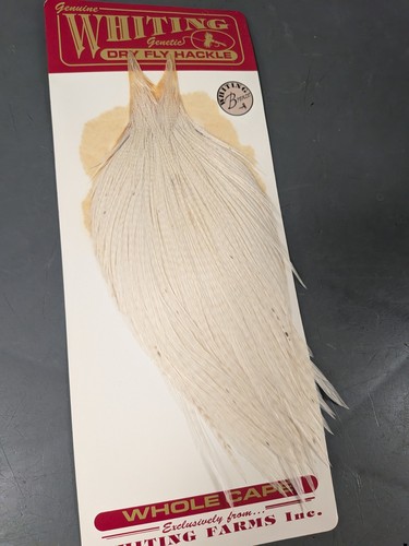Whiting bronze cape white - cape, dry