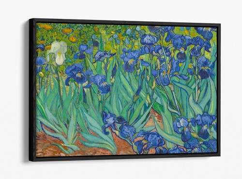 Van gogh irises float - gogh, -float