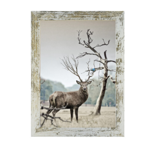 Certificate photo frame - a4,