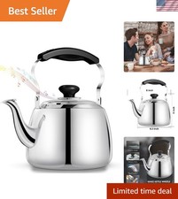 Stainless Steel Tea Kettle 2L