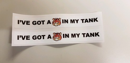 Got a tiger in - x,