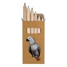 6 x 'African  Grey Parrot' Short 85mm Pencils / Coloured Pencil Set (PE00030601)