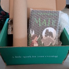 Illumicrate Afterlight Exclusive Mate by Ali Hazelwood - alternative dust jacket