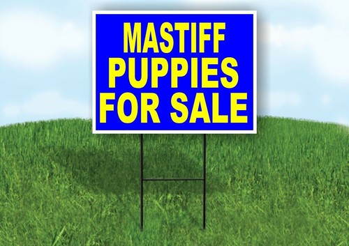Mastiff puppies for sale - mastiff,