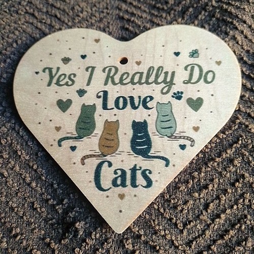 Cats hanging wooden - cats,