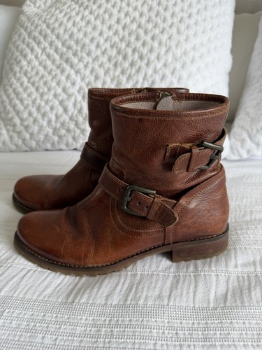 Fat face chestnut brown - fat,