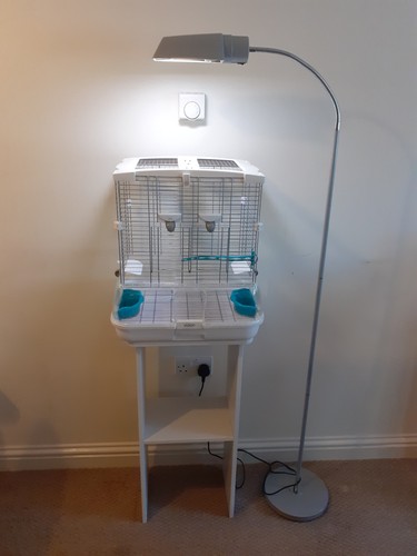 Vision s01 bird - s01, cage