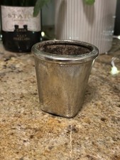 Mini Silver Indoor Plant Pot