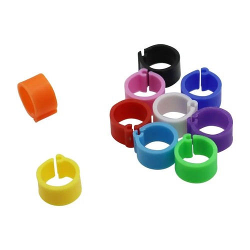 100pcs colours bird rings - bird,