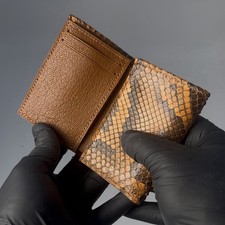 Burnt orange Burmese python