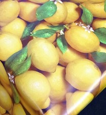 180cm Wider Width Lemons PVC