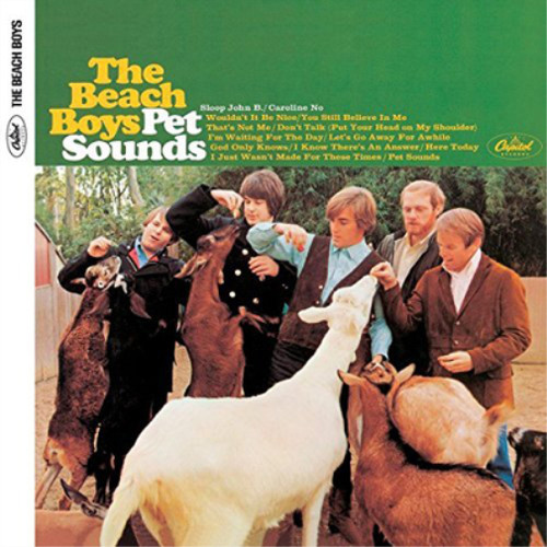 The beach boys - pet, sounds