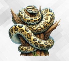 Burmese Python Snake Wall