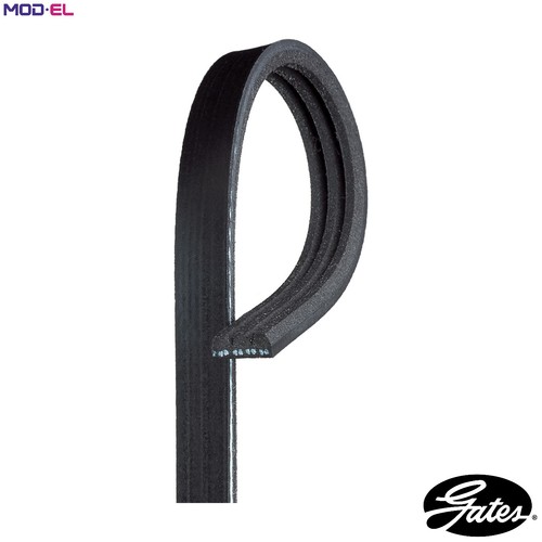 Vribbed belt 3pk648 - vribbed, for