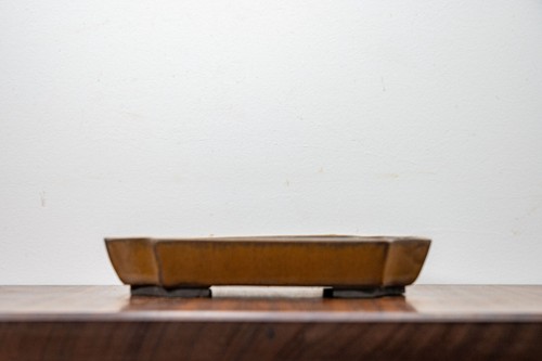 Venus brown black clay - venus,