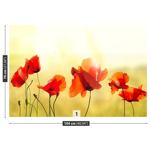 Non woven wall mural - non,