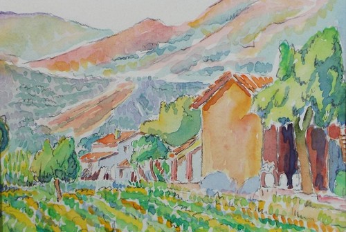 Original watercolour cabbage - original, watercolour,