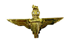 Parachute Regiment Gilt Brass