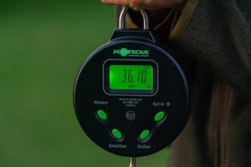 Korda digital scale - korda, 132lb