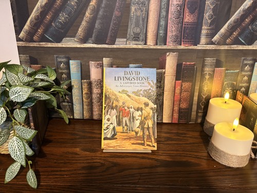 Vintage ladybird book - ladybird,