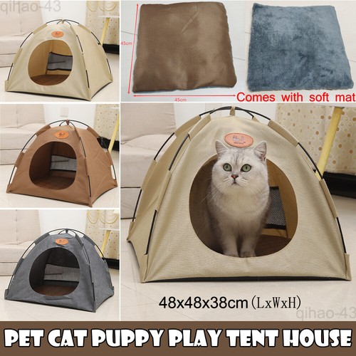 Folding pet cat - dog, play