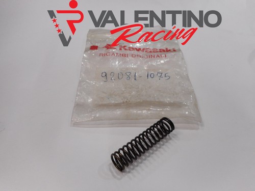 Spring tensioner rod - spring,