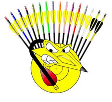 Archery arrow wraps acc - arrow,