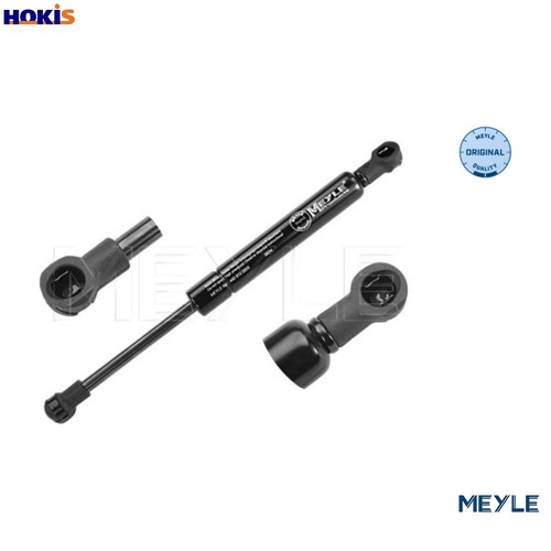 Gas spring bootcargo area - gas, 440