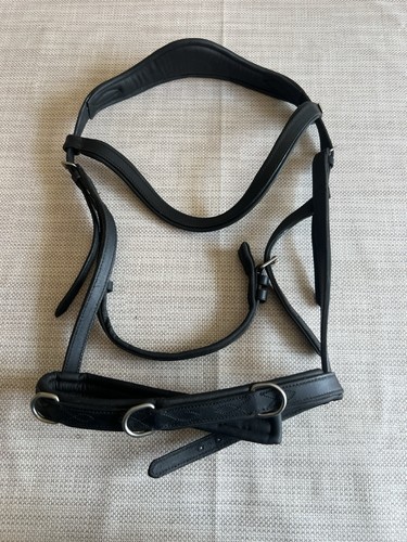 Claridge house training bridle - claridge,