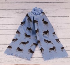 Belgian Shepherd Malinois dog