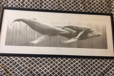 Gary Hodges – Limited