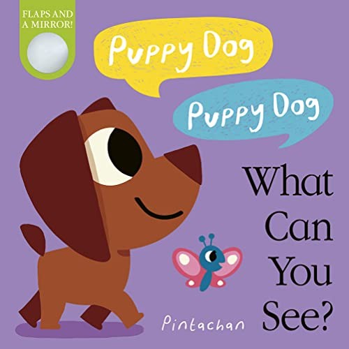 Puppy dog - puppy, can