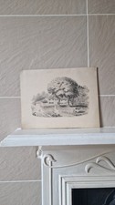Antique English 1800's Pencil