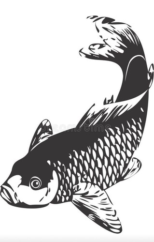Carp vinyl decal - carp, sticker