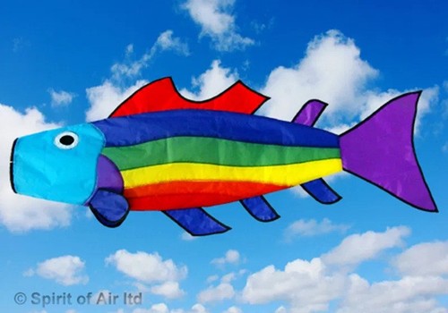 Rainbow fish windsock - rainbow,