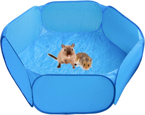 Heppurg guinea pig hamster - heppurg,