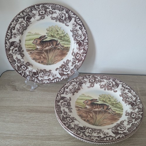 Spode woodland brown hare - woodland,
