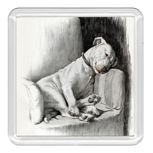 Bull terrier dog - terrier, acrylic