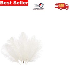 Luxury 6-8 Inch White Ostrich