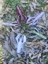 Sleeper Craw Style, Creature