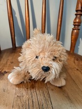 Suki labradoodle puppy dog - labradoodle,