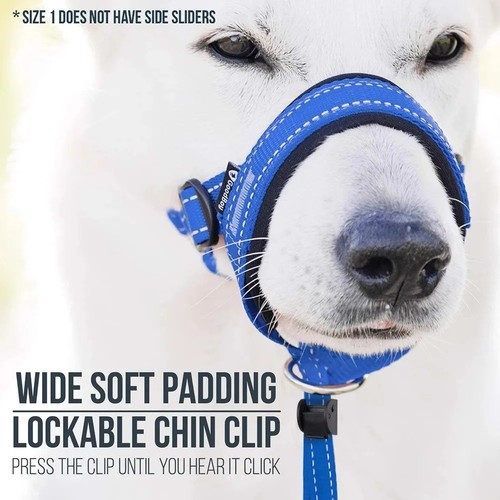 Halti head collar - halti, dog