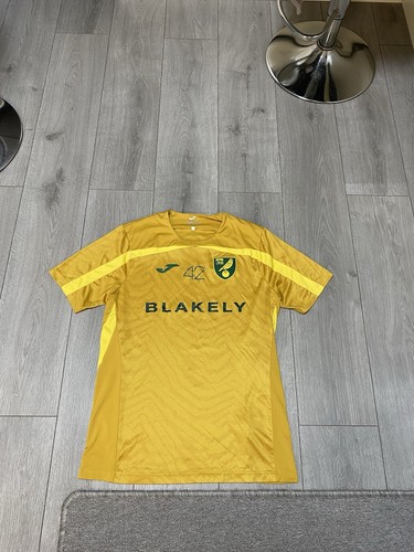Norwich city match worn tony - city,